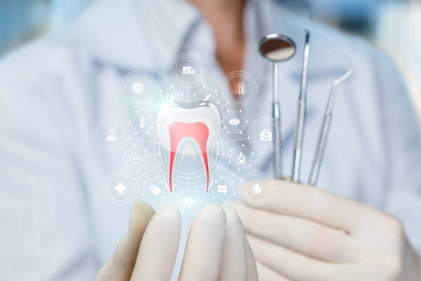 Trusted Arapahoe, WY  Holistic Dental Services Experts